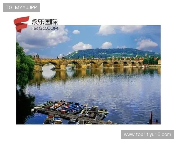 深入了解永乐国际F66的独特魅力与优势